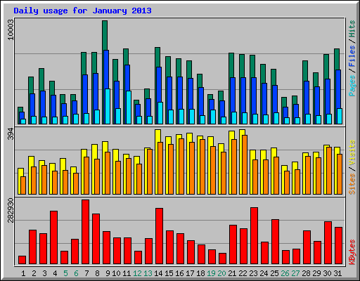 Daily usage for January 2013