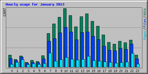 Hourly usage for January 2013