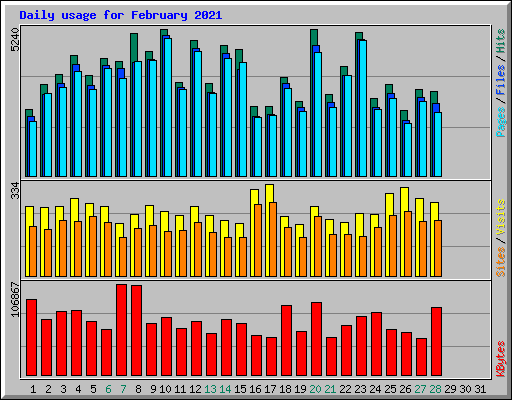 Daily usage for February 2021