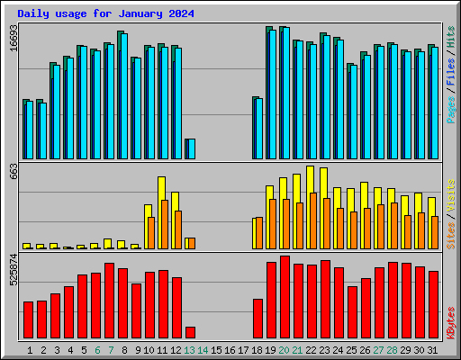 Daily usage for January 2024