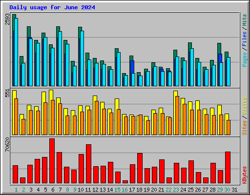 Daily usage for June 2024