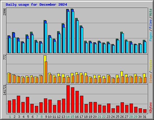 Daily usage for December 2024