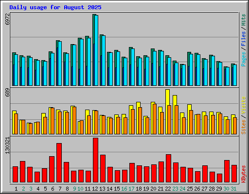 Daily usage for August 2025