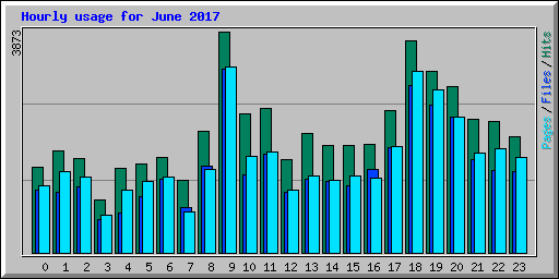 Hourly usage for June 2017