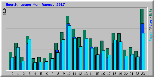 Hourly usage for August 2017