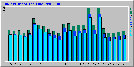 Hourly usage for February 2019