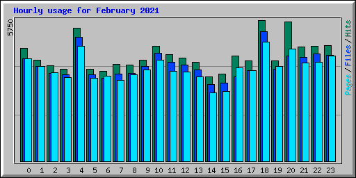 Hourly usage for February 2021