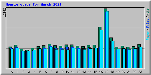 Hourly usage for March 2021