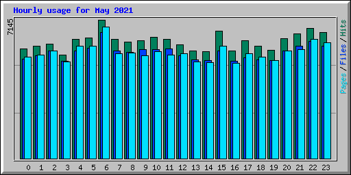 Hourly usage for May 2021