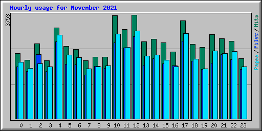 Hourly usage for November 2021