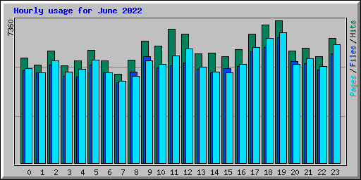 Hourly usage for June 2022