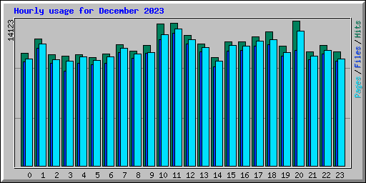 Hourly usage for December 2023