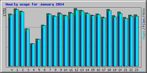 Hourly usage for January 2024
