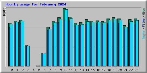 Hourly usage for February 2024