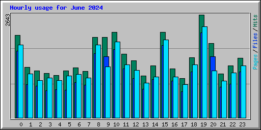 Hourly usage for June 2024