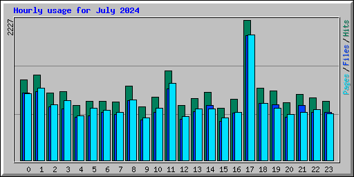 Hourly usage for July 2024