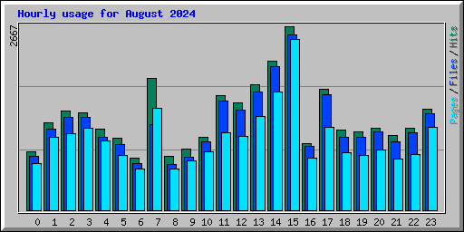 Hourly usage for August 2024