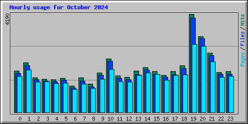 Hourly usage for October 2024