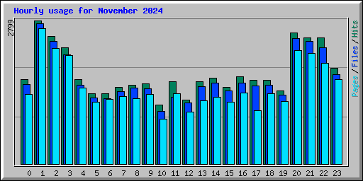 Hourly usage for November 2024
