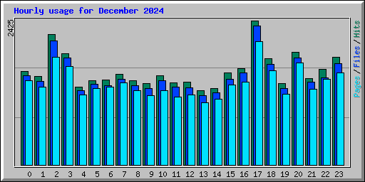 Hourly usage for December 2024