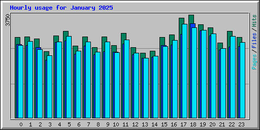 Hourly usage for January 2025