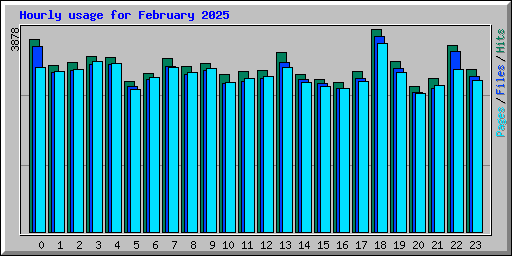 Hourly usage for February 2025