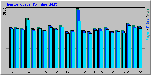Hourly usage for May 2025