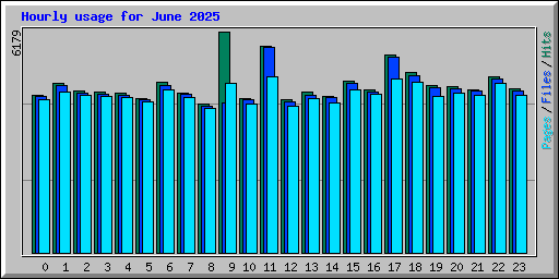 Hourly usage for June 2025