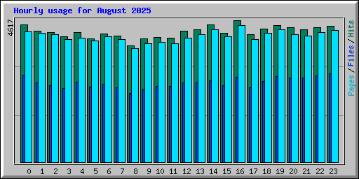 Hourly usage for August 2025