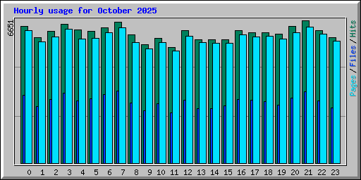 Hourly usage for October 2025