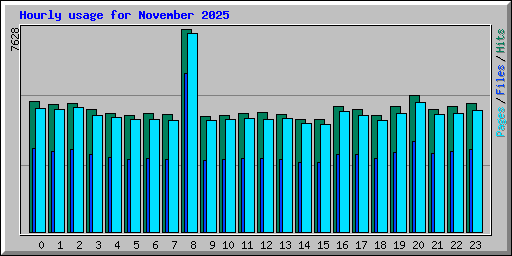 Hourly usage for November 2025