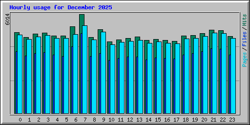 Hourly usage for December 2025