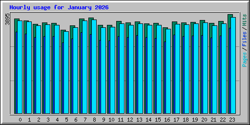 Hourly usage for January 2026