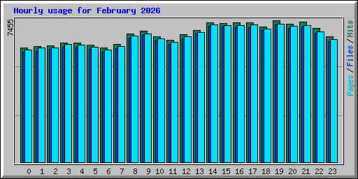 Hourly usage for February 2026
