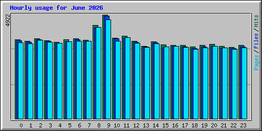 Hourly usage for June 2026