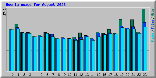 Hourly usage for August 2026
